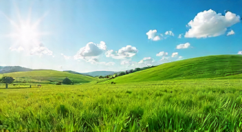 Das sind die Top 7 Schritte beim Thema Agrarpolitik