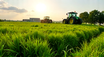 Die besten 8 Tipps bei der Unterstützung von Landwirten