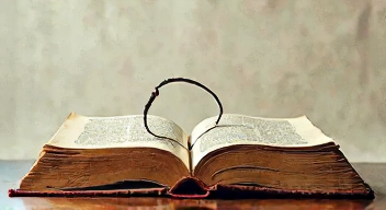 Die besten 8 Tipps bei Menschenrechtsverletzungen