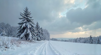 Erinnerungen an den Wintersturm (1/10)