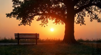 Perspektiven zu emotionalen Abschieden sind wichtig