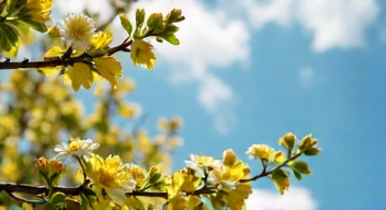 Persönliche Erfahrungen mit Allergien und Heuschnupfen (1/10)