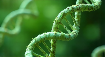 Verknüpfung von Genomik und Morphologie (5/10)